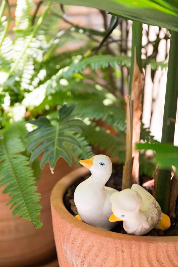 The Tippanet Hotel Chiang Mai (Adults Only) Екстер'єр фото